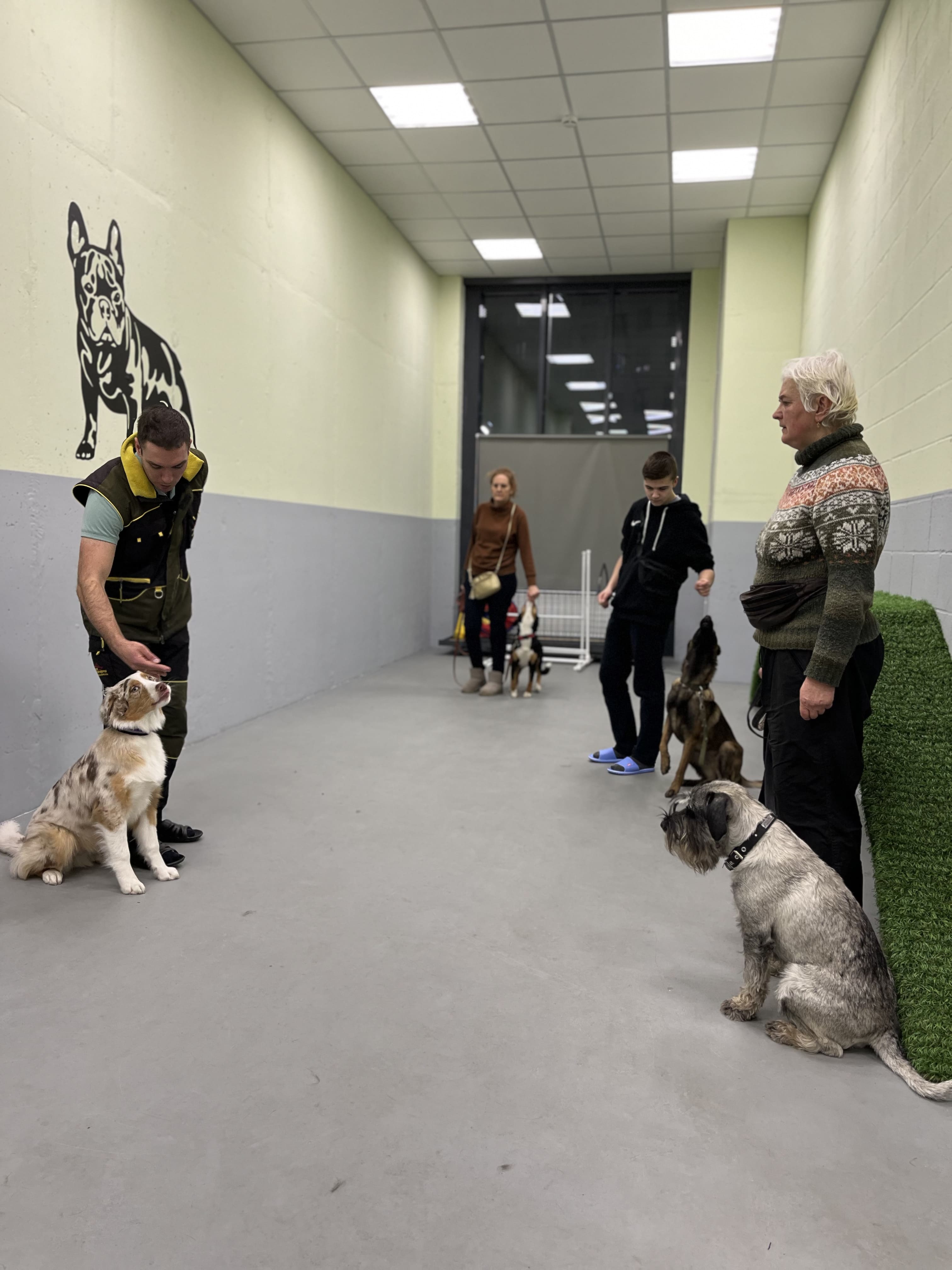 Практическое занятие с собакой в зале